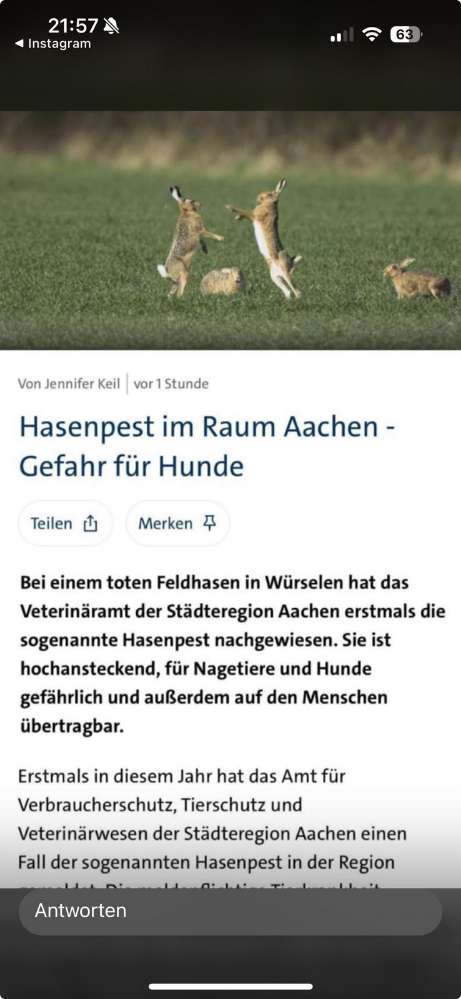 Giftköder-Hasenpest-Profilbild