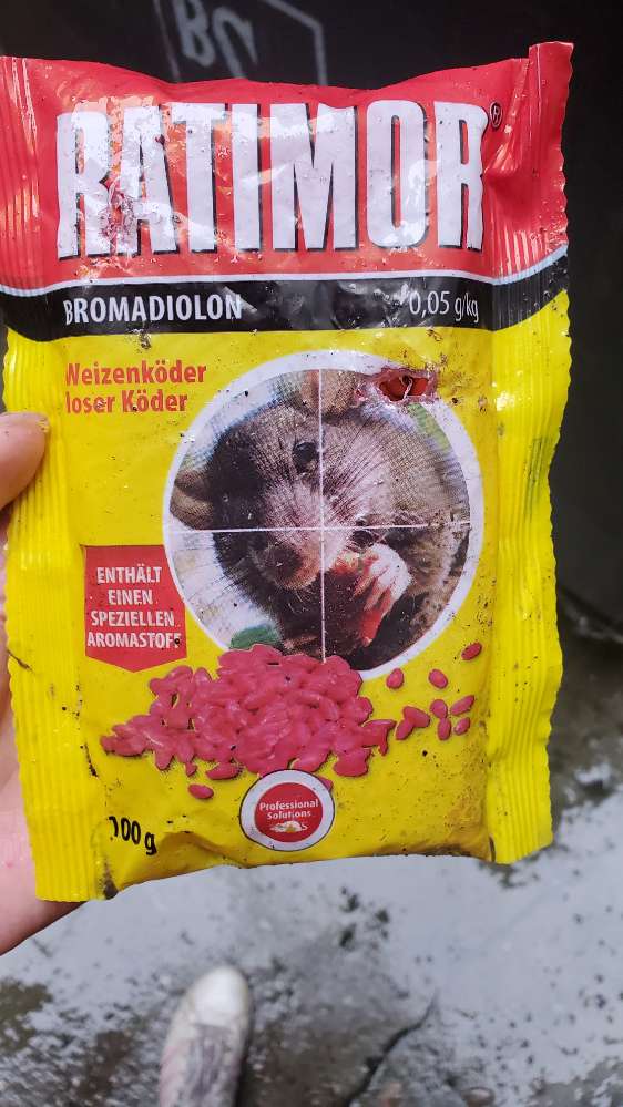 Giftköder-Angeknabberte Packung Rattengift-Profilbild