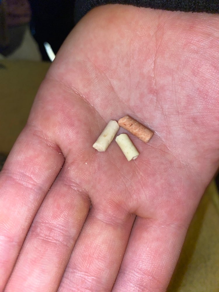 Giftköder-Wahrscheinlicher Giftköder im Falkenweg-Profilbild