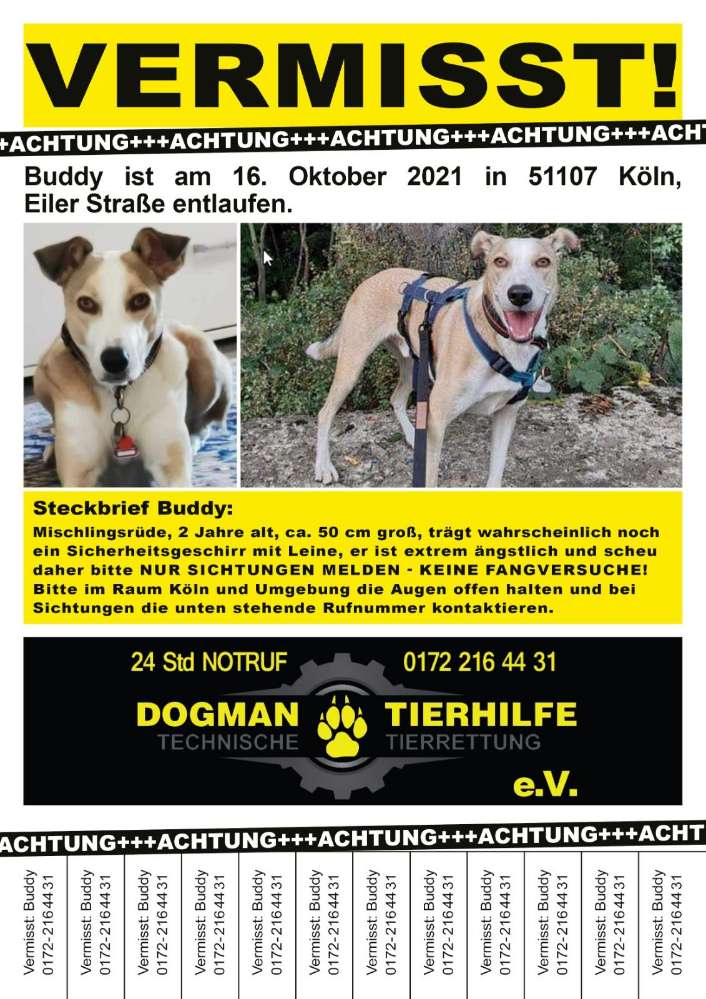 Suchmeldung-Buddy-Profilbild