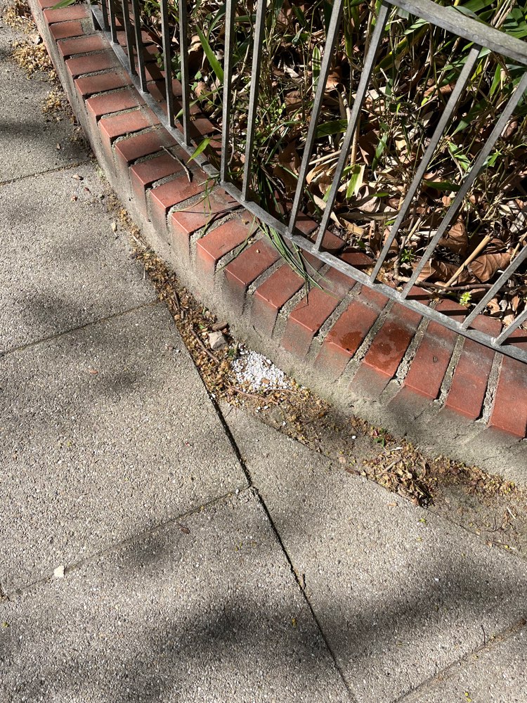 Giftköder-Weiße Brösel (mögl. Rattengift)-Profilbild