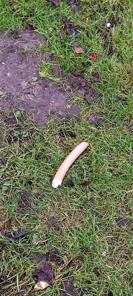 Giftköder-Ausgelegte Würstchen-Profilbild