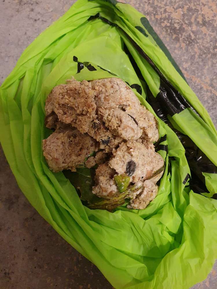 Giftköder-Giftköderverdacht-Profilbild