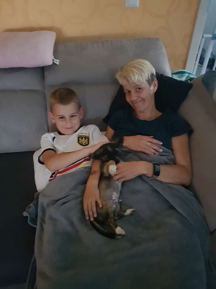 Hundetreffen-Suche Spielgefährten-Profilbild