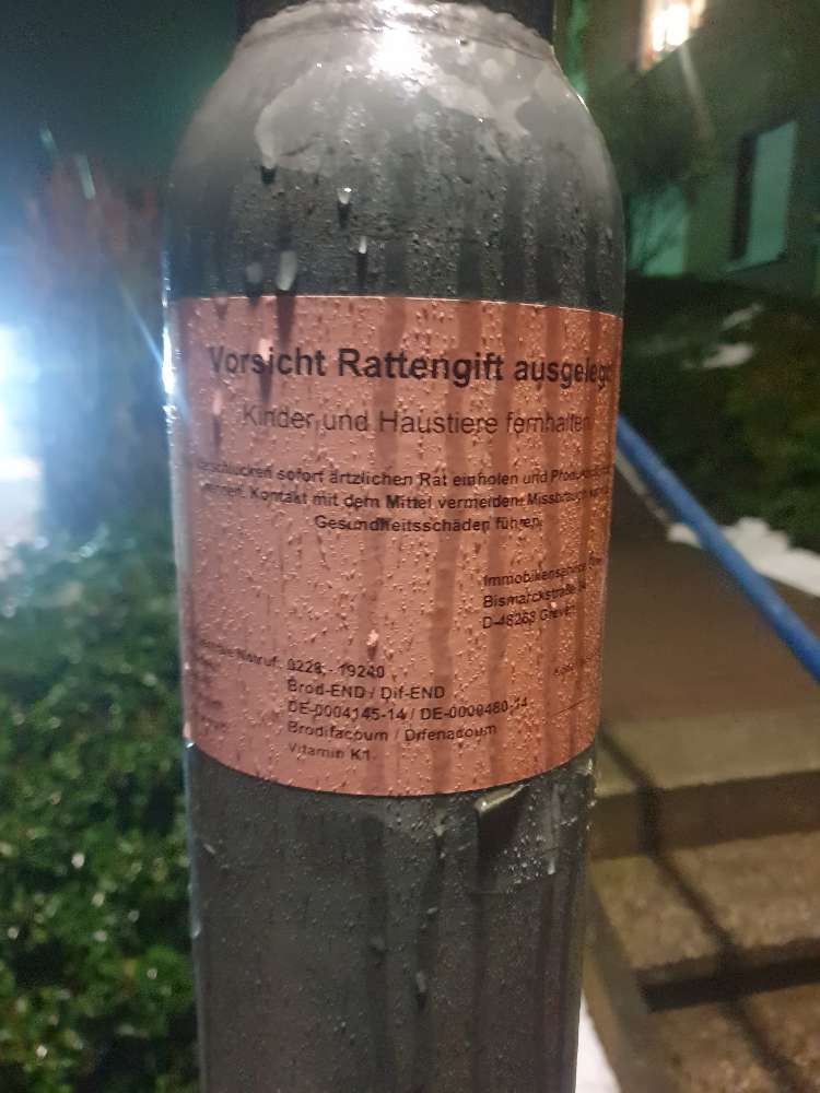 Giftköder-Rattengift-Profilbild