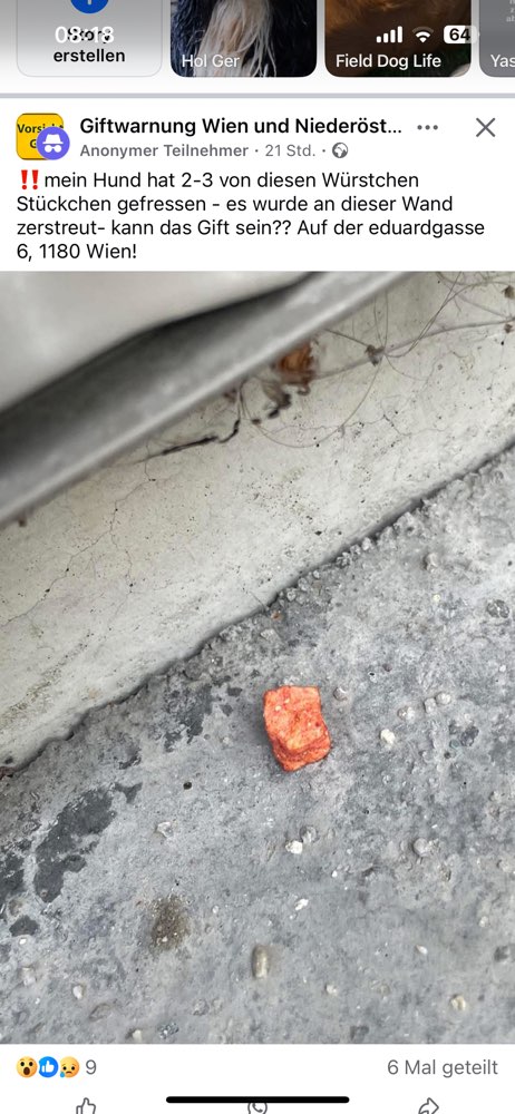 Giftköder-GIFTKÖDER-Profilbild