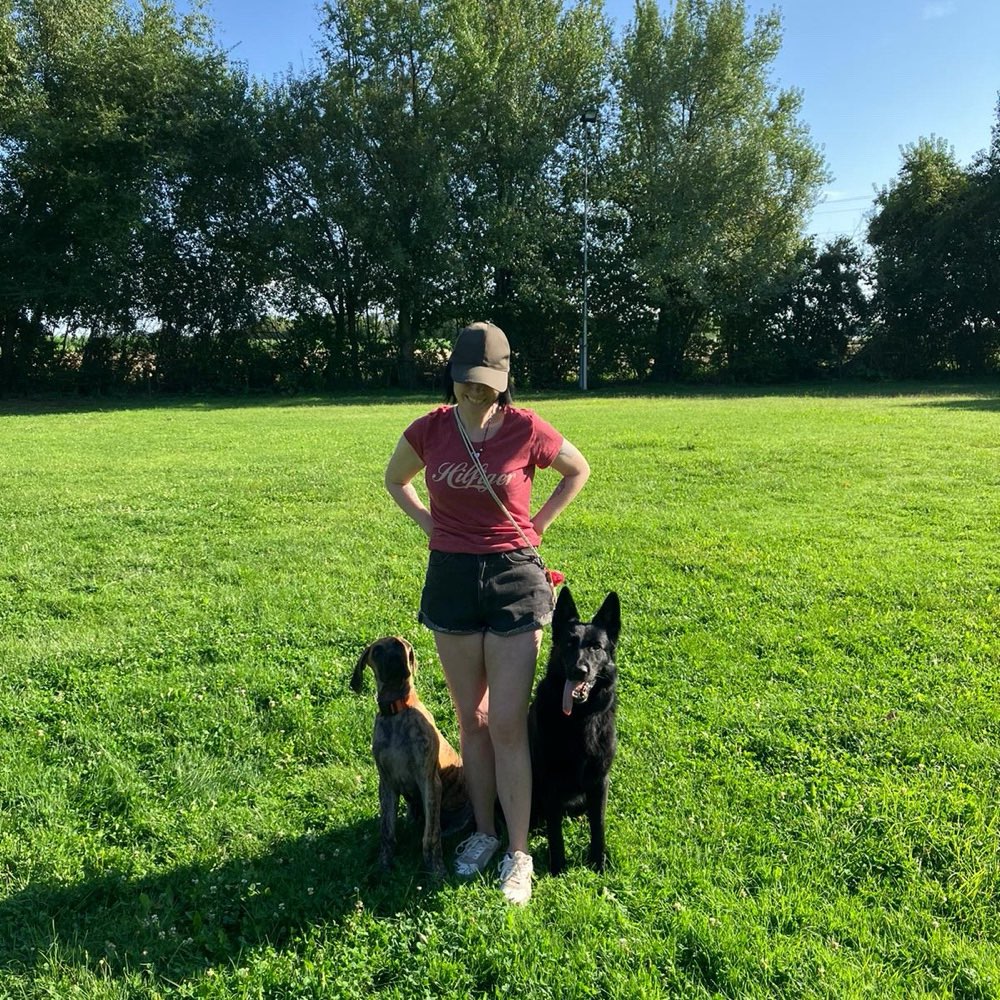 Hundetreffen-Social Walk mit toller Gruppe 🐶🐕🦮🐕‍🦺🐾-Profilbild