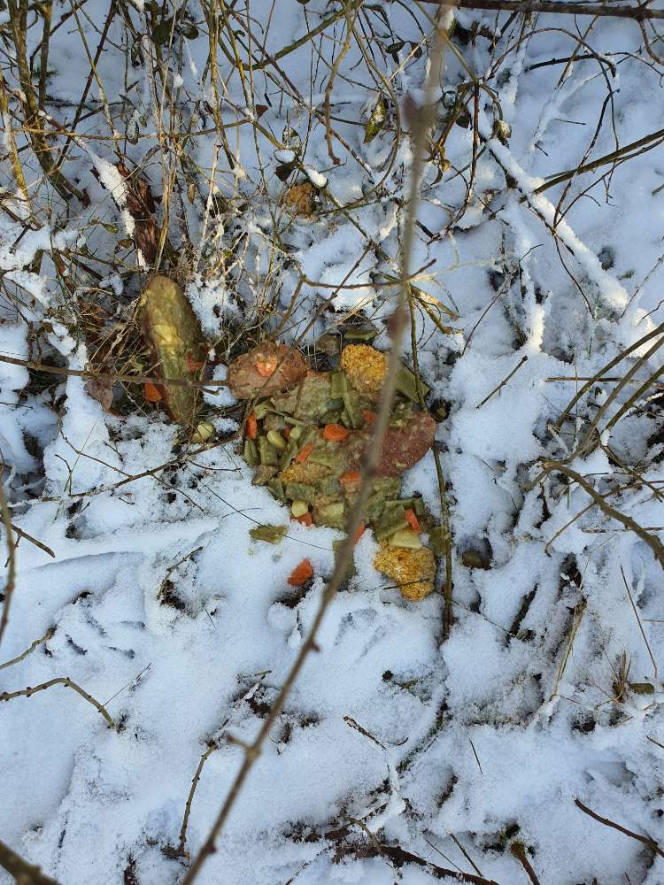 Giftköder-Möglicher Giftköder / Essensreste-Profilbild