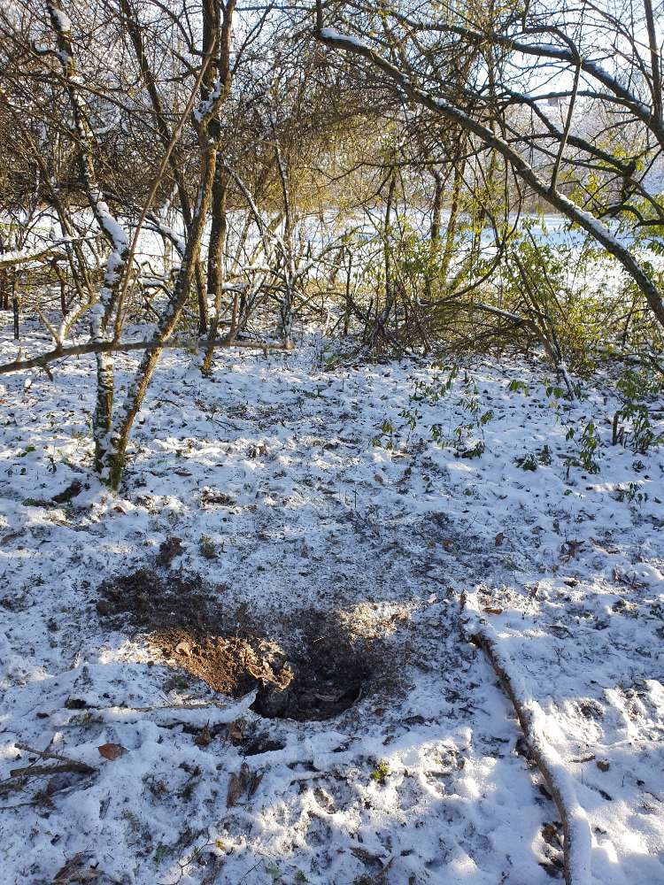 Giftköder-Totes Tier-Profilbild