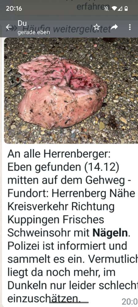 Giftköder-Vermutlich Giftköder-Profilbild