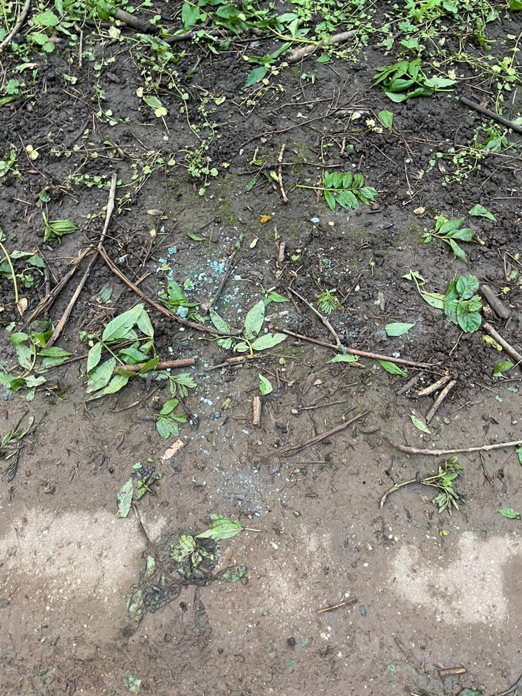 Giftköder-Rattengift / blaues Pulver-Profilbild