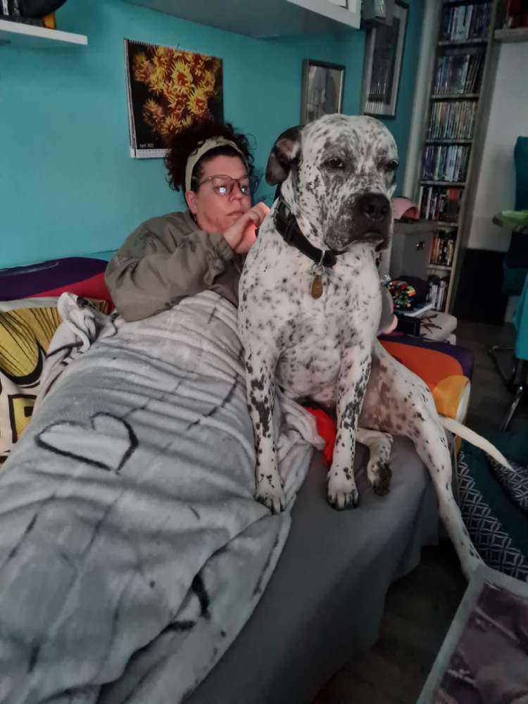 Hundetreffen-Begegnungsübungen-Profilbild