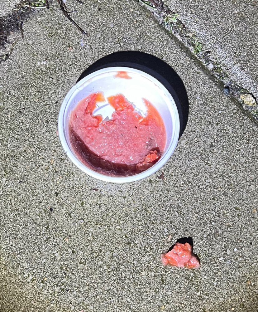 Giftköder-möglicher Giftköder-Profilbild