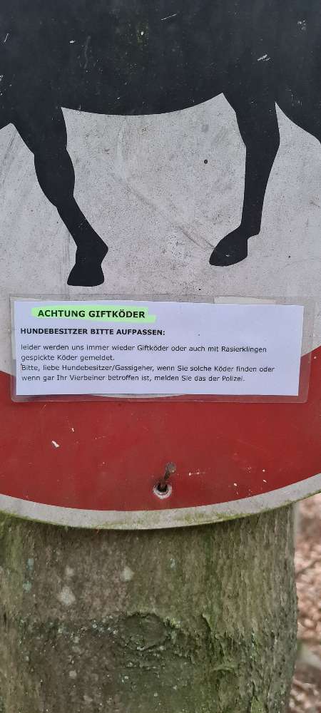 Giftköder-Giftköder-Profilbild