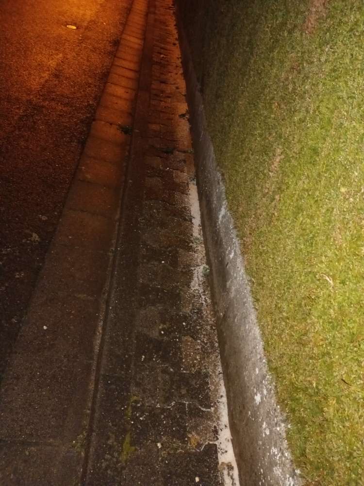 Giftköder-Evtl. Unkrautvernichter-Profilbild