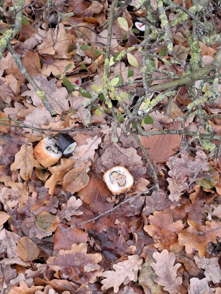 Giftköder-Vermutlich Giftköder-Profilbild