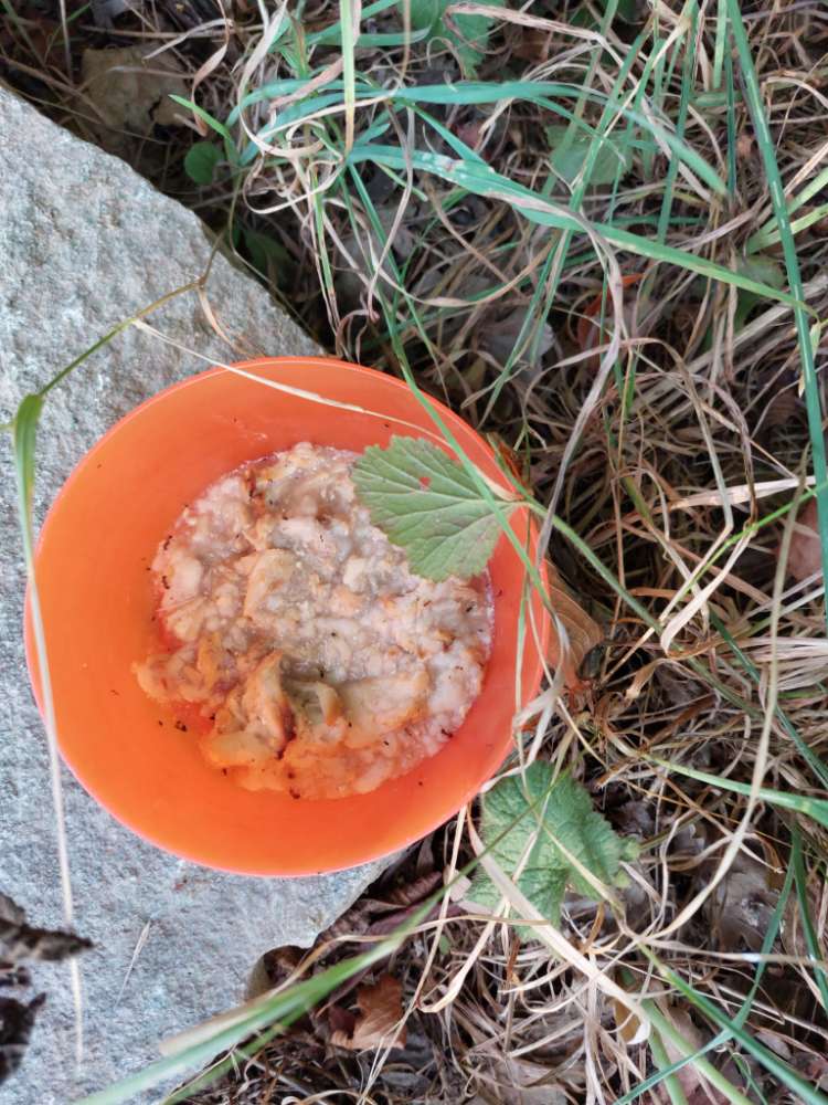 Giftköder-Giftköder-Profilbild