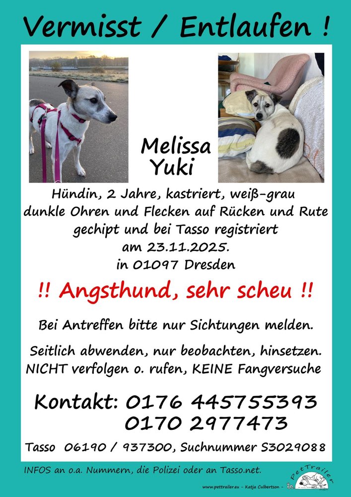 Suchmeldung-Melissa/Yuki-Profilbild