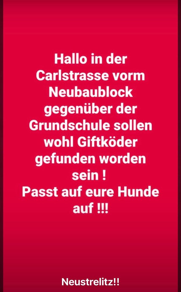 Giftköder-Giftköder-Profilbild
