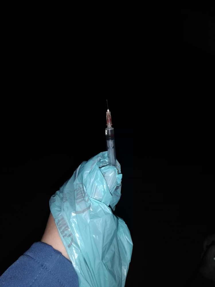 Giftköder-Ausgelegte Spritze-Profilbild