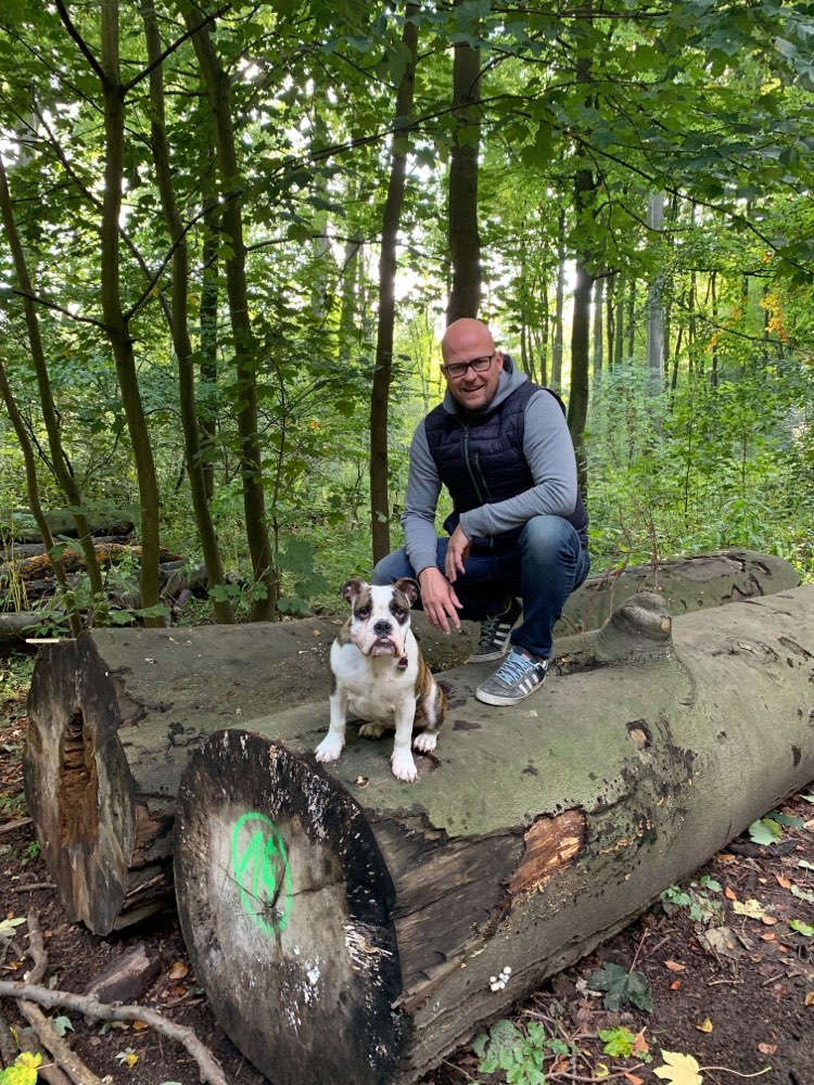 Hundetreffen-Gassi/spazieren auf dem Feld oder im Wald-Profilbild