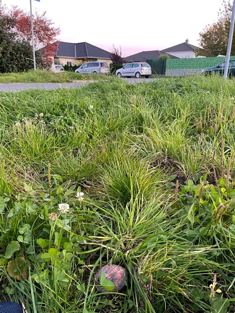 Giftköder-Hackfleischbälle mit vermutlich Blaukorn-Profilbild