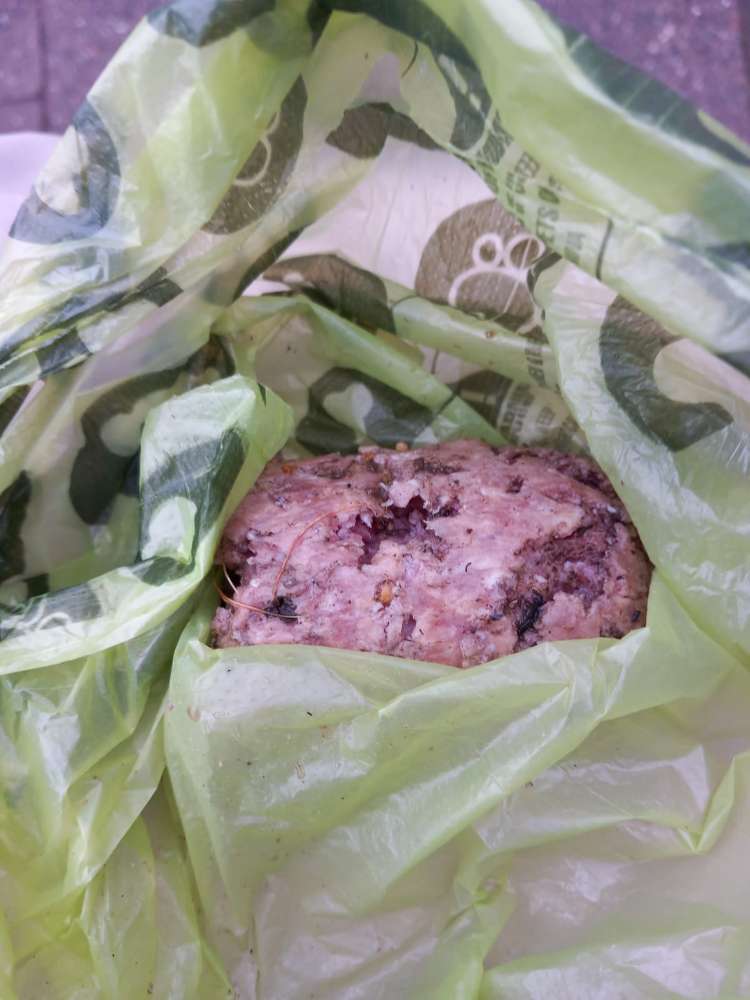 Giftköder-Hackfleisch-Profilbild