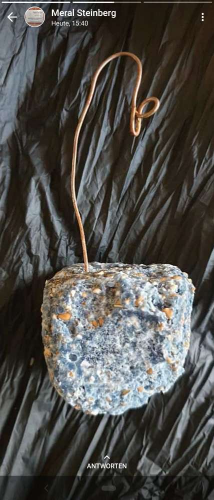 Giftköder-Giftköder-Profilbild