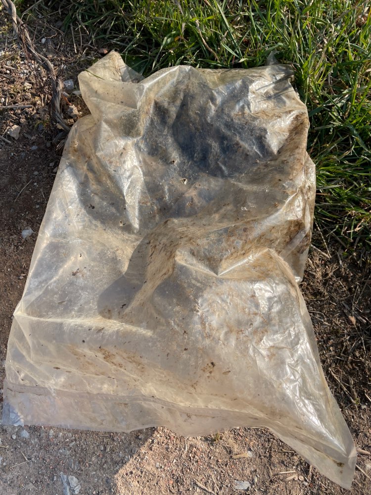 Giftköder-Tüte mit Leber gefunden-Profilbild