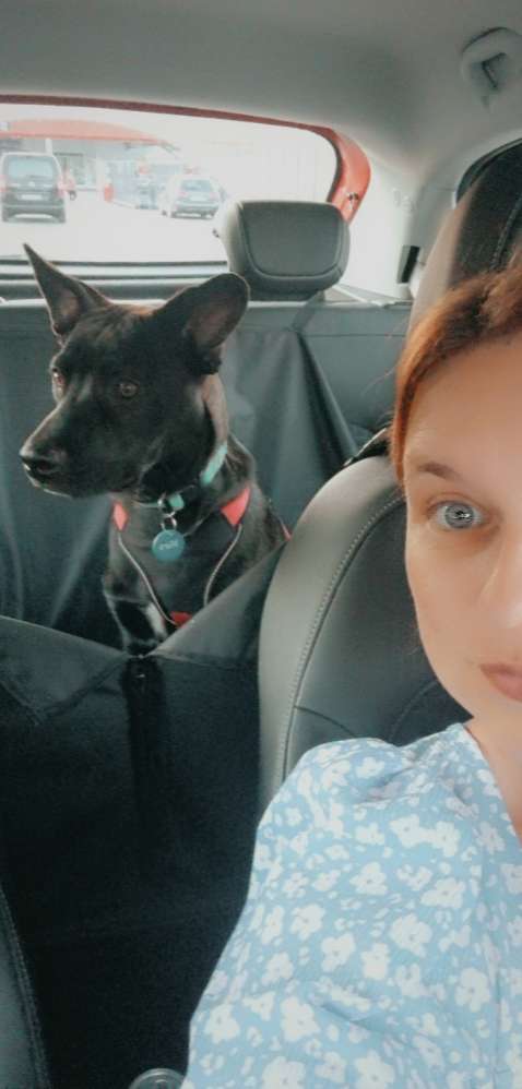 Hundetreffen-Treffen zum Spaziergang und spielen-Profilbild