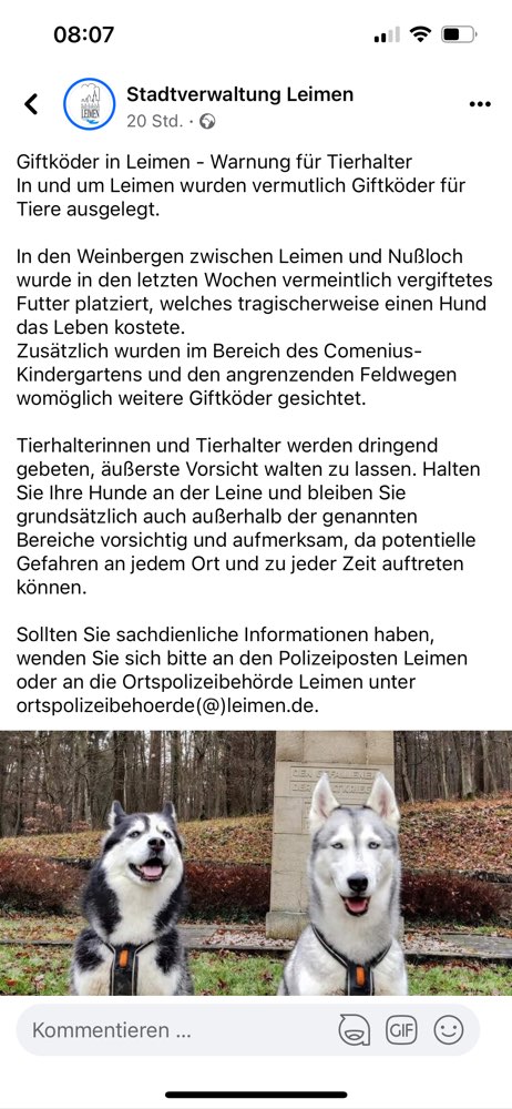 Giftköder-Giftköder beim Comenius-Kindergarten-Profilbild