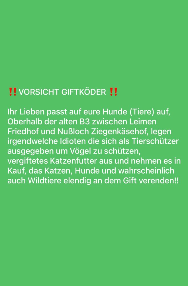 Giftköder-Gitfköder-Profilbild