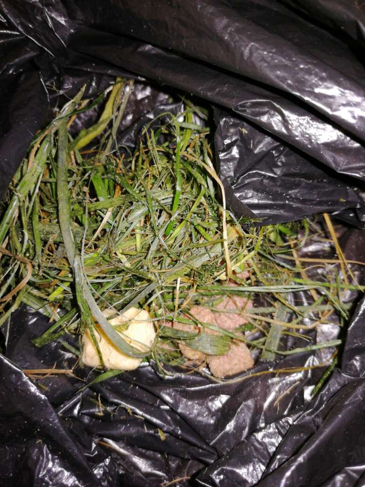 Giftköder-Giftköder-Profilbild