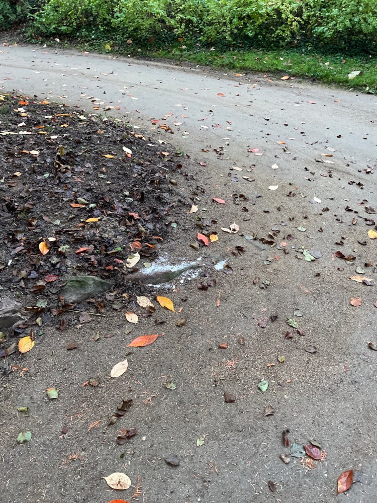 Giftköder-Weißes Pulver-Profilbild