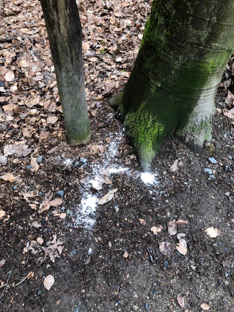 Giftköder-Giftköder-Profilbild