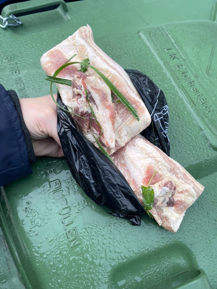 Giftköder-Fleisch in der Wiese-Profilbild