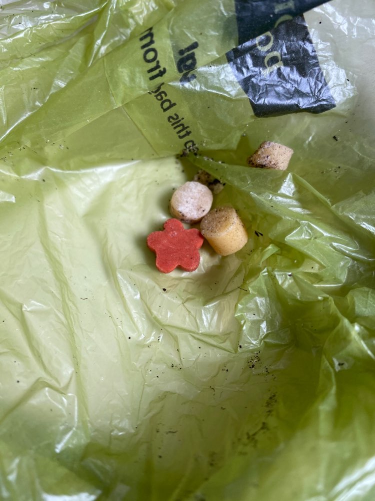Giftköder-Leckerli? Hundefutter? auf der Rehwiese-Profilbild