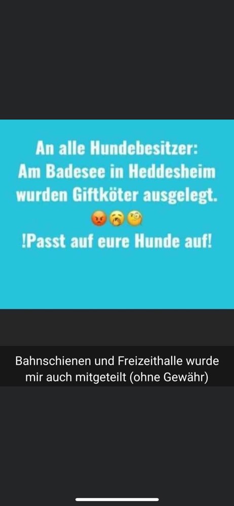 Giftköder-Giftköder-Profilbild