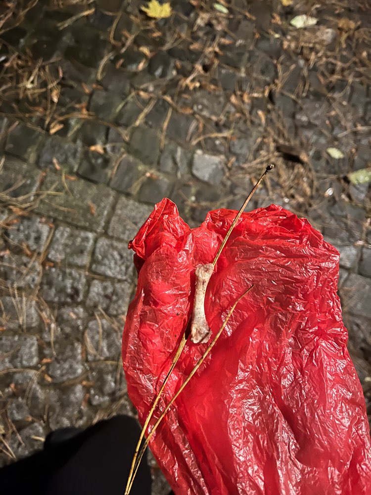 Giftköder-Knochen gefunden-Profilbild