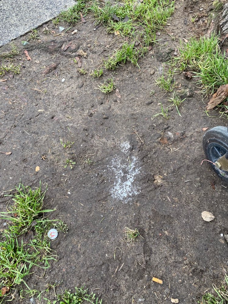 Giftköder-Weißes Pulver-Profilbild