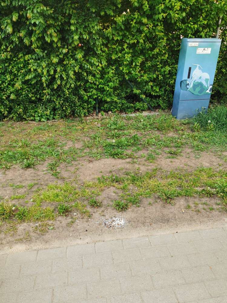 Giftköder-Leckerlis mit vermutlich Gift-Profilbild