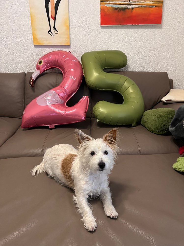 264. Fotochallenge Banner