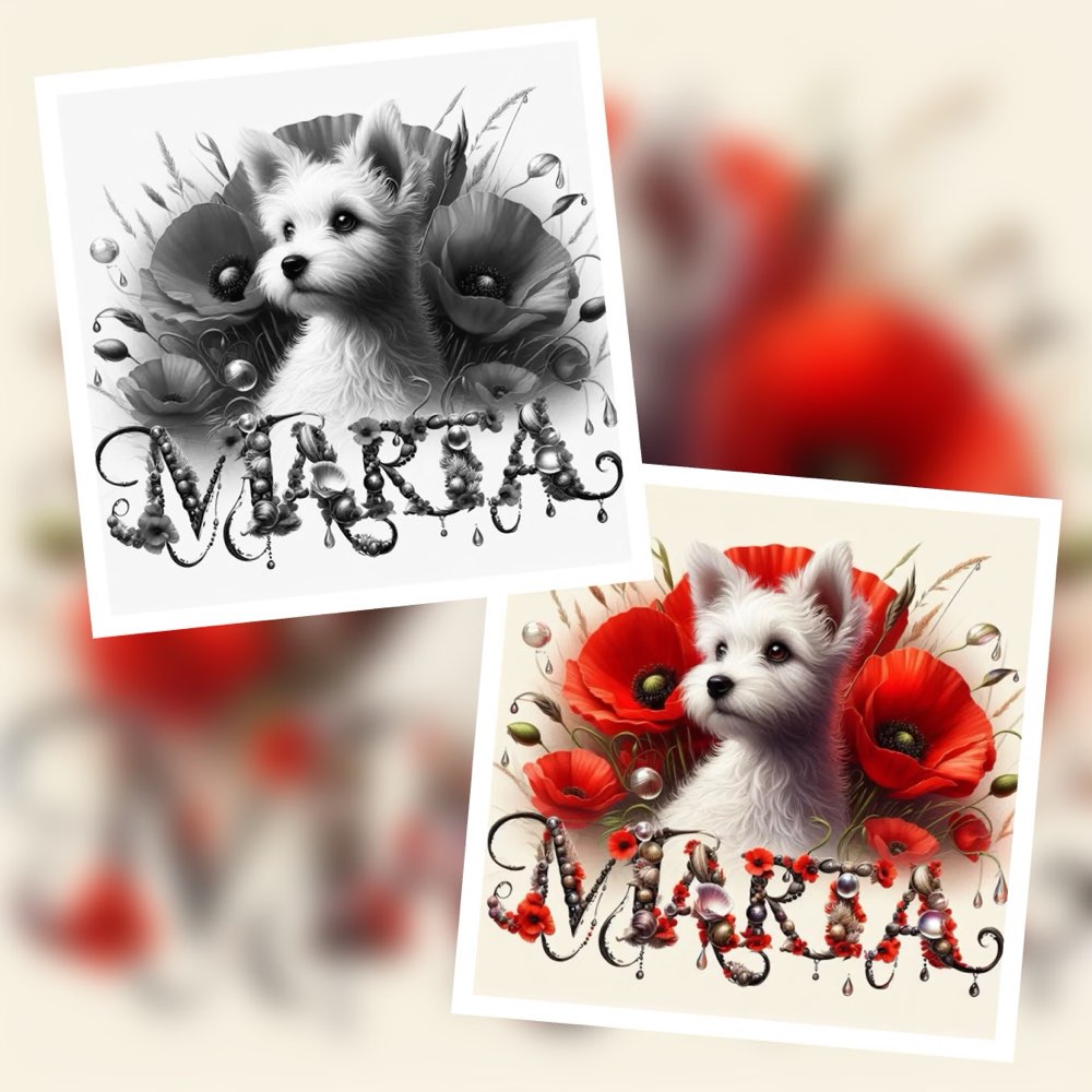 18. KI Wettbewerb: Dasselbe Bild in Farbe und Schwarz-weiß Banner