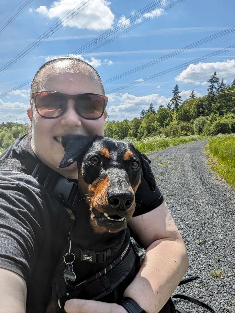 Hundetreffen-Social Walk, Training, Spaziergänge, regelmäßige Treffen-Profilbild