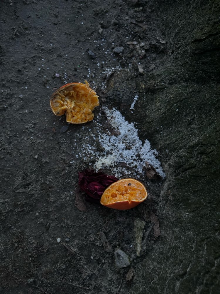 Giftköder-Weißes kristallines Pulver in Orange-Profilbild