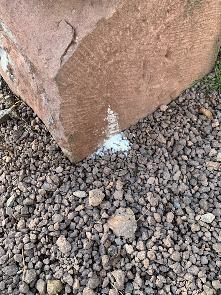 Giftköder-Weißes Pulver im Nordbahnhof Park-Profilbild