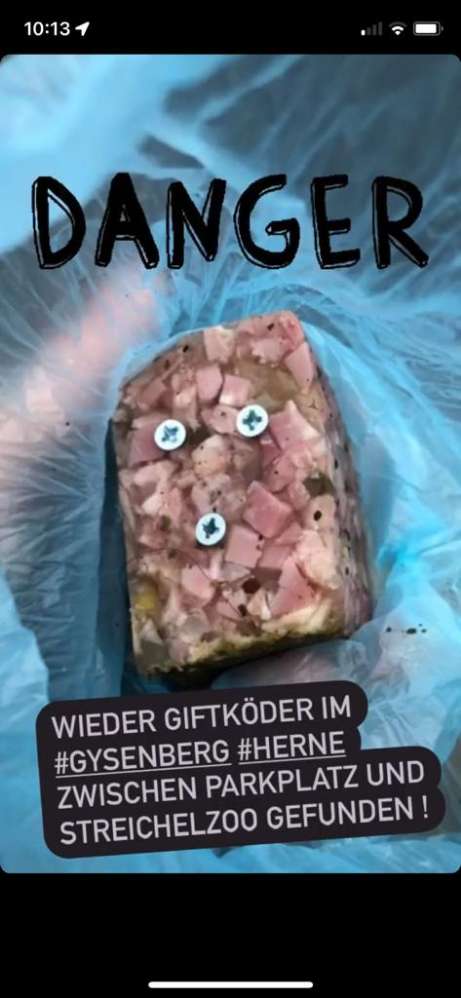 Giftköder-Gysenberg wieder Köder-Profilbild