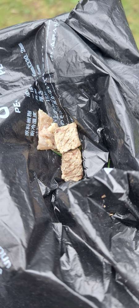 Giftköder-Fleisch versteckt an Rheinufer-Profilbild