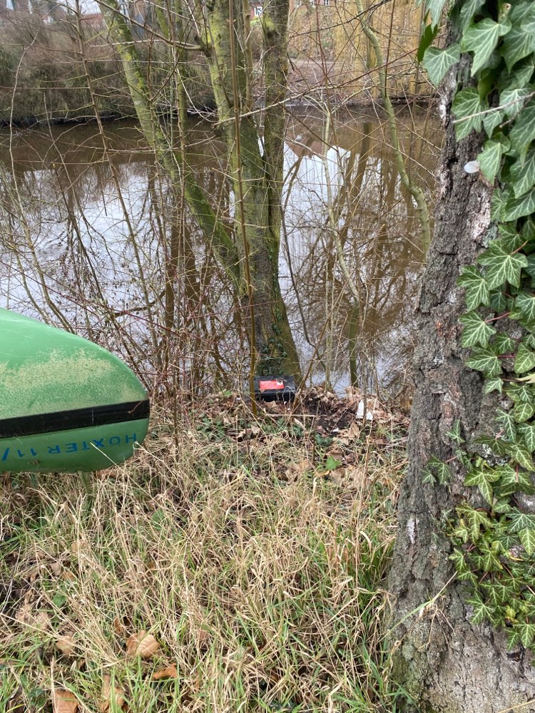 Giftköder-Rattengift-Falle-Profilbild