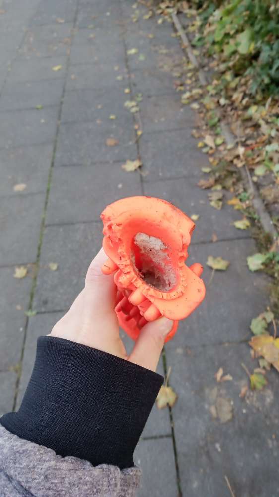 Giftköder-Spielzeug mit Leberwurst/Glassplitter-Profilbild